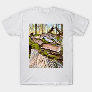 Fairy Land of Moss and Bark T-Shirt